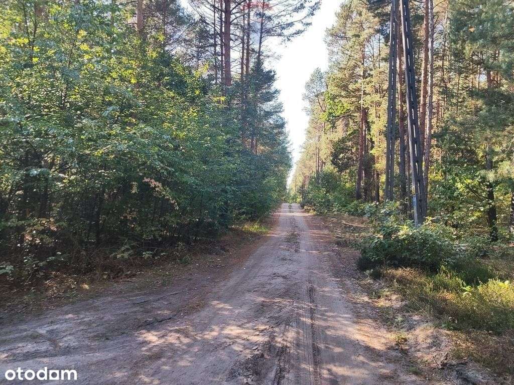 Na sprzedaż! Działka - Osiedle Wilga - Pełny obrazek: 4/6