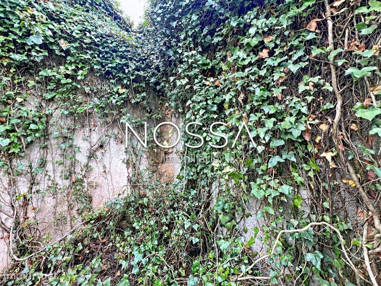 Ruína com 60m² | Terreno urbano | Sobral da Abelheira – Mafra-17