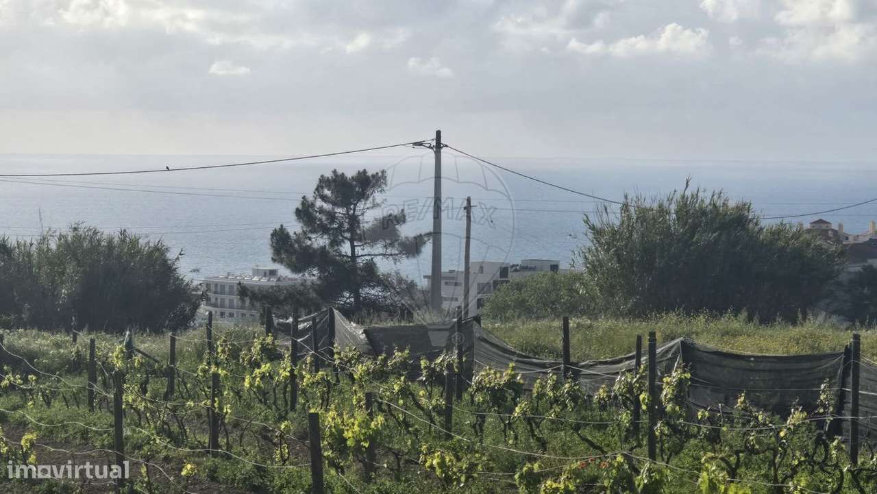 Terreno  para venda - Grande imagem: 4/4