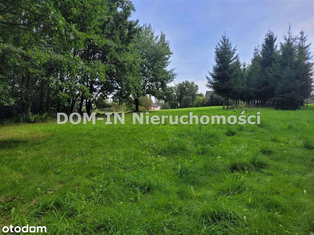 Dom na działce 3542 m2 -Jastrzębie, os. Przyjaźń - Pełny obrazek: 5/20