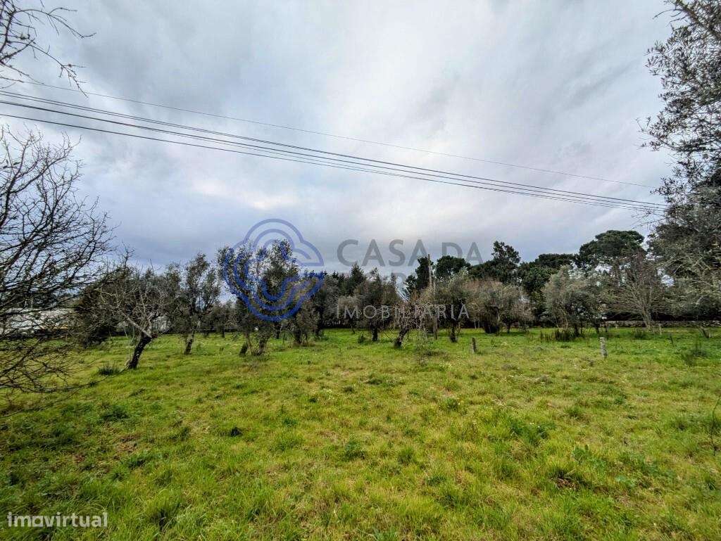 Terreno Urbano em Silgueiros - Grande imagem: 5/25