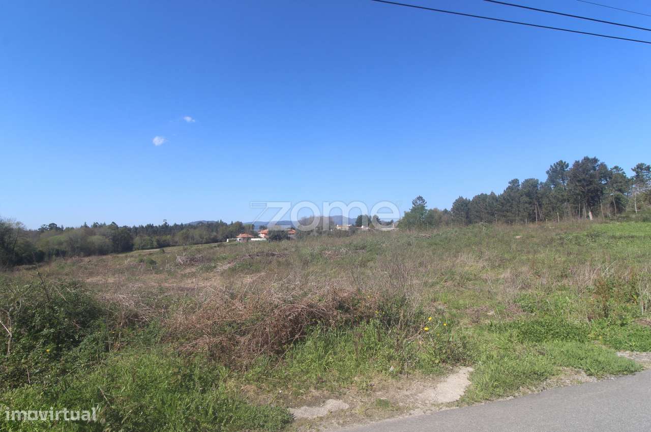 Terreno Industrial - Grande imagem: 3/16