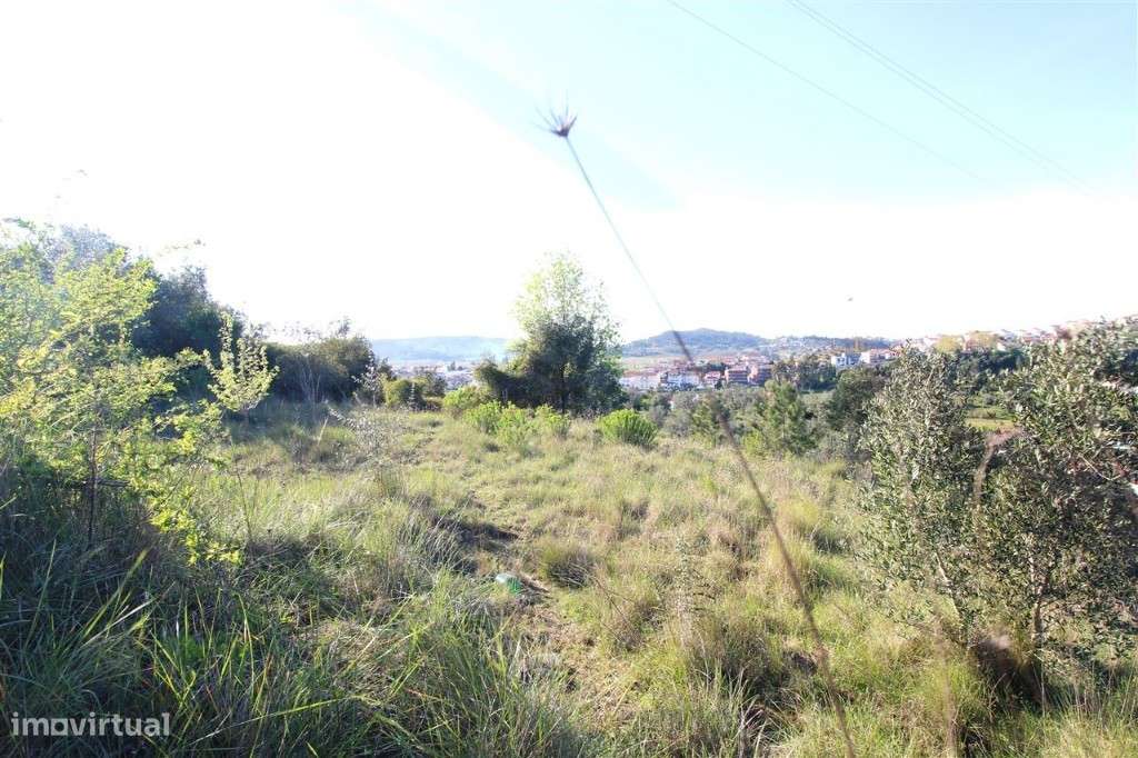 Venda Terreno - Grande imagem: 4/4