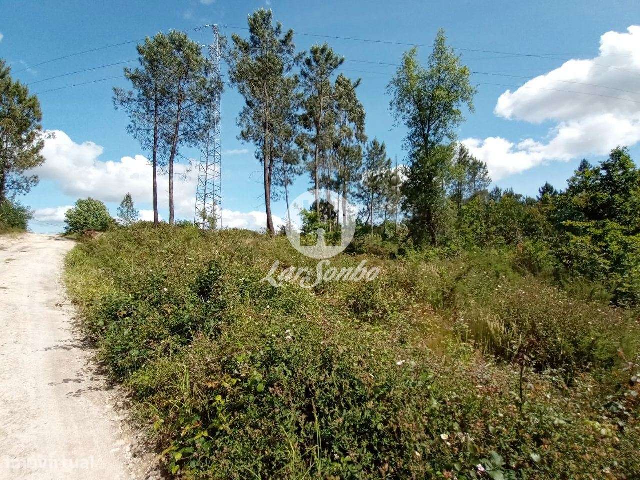 Terreno industrial para construção - Grande imagem: 4/21