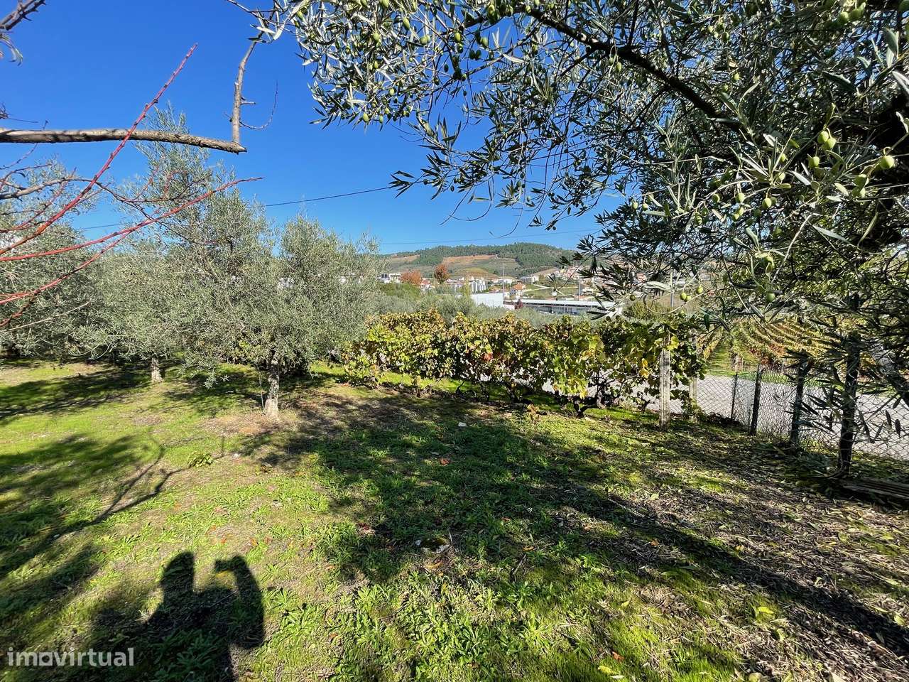 QUINTA EM MURÇA | CASA SENHORIAL | OPORTUNIDADE INVESTIMENTO-45
