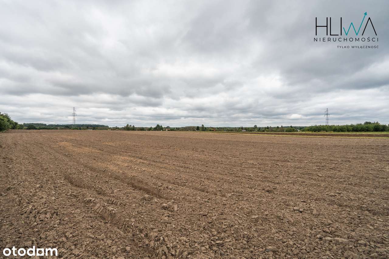 Działki rolne Gdynia Obłuże, powierzchnie od 3003 m2-12