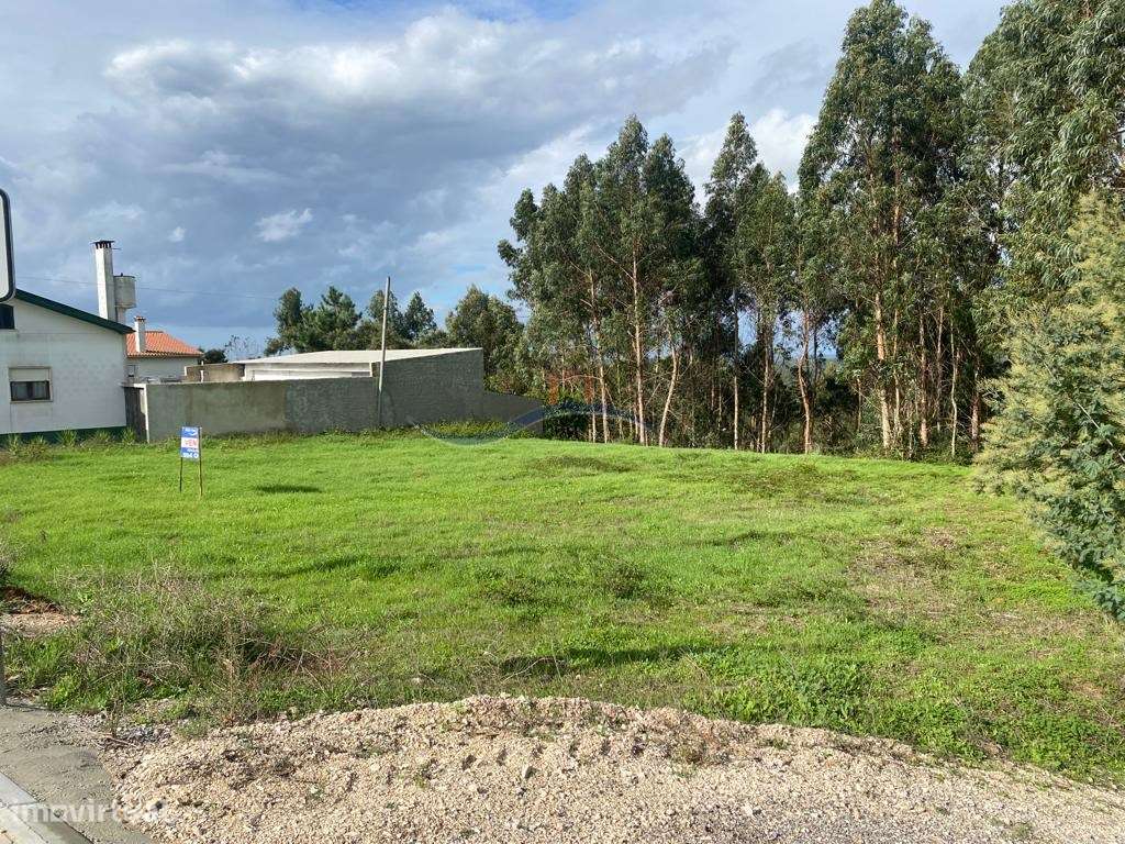 Terreno - São Miguel, Souto da Carpalhosa - Grande imagem: 5/9