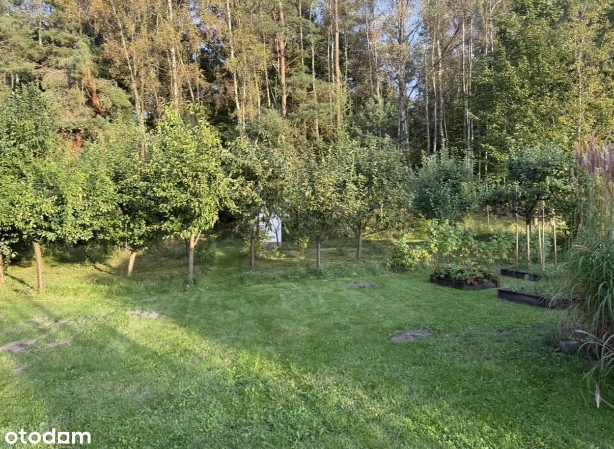 Dom na dużej działce, z garażem, z lasem w Gniewowie - Pełny obrazek: 5/20