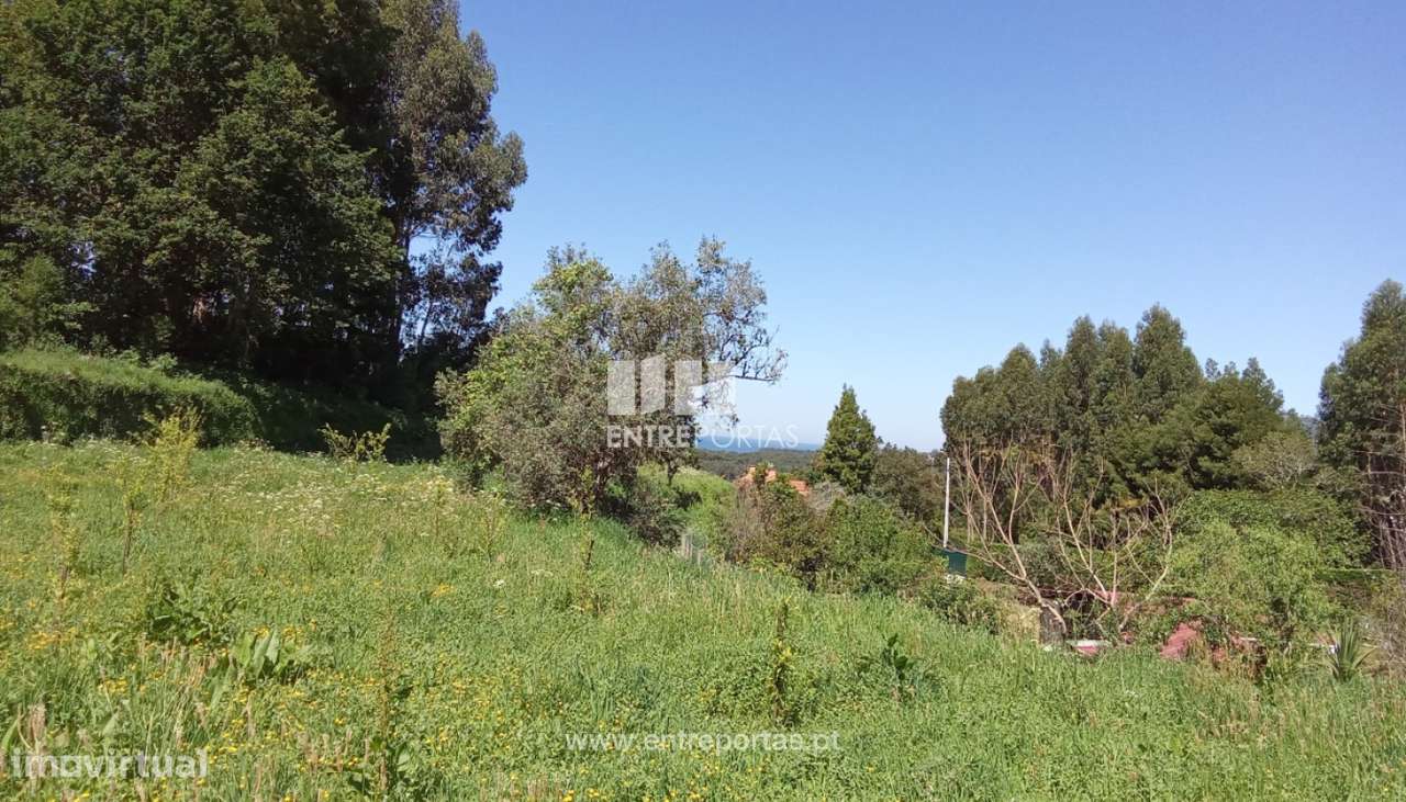 Terreno para venda, Cristelo, Caminha - Grande imagem: 2/14