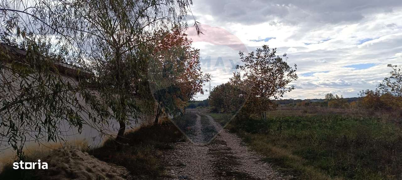 Teren 2,056mp Ciolpani - Imagine principală: 3/11