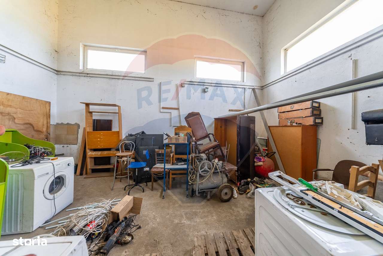 Spațiu industrial cu potential de vanzare in Paulis,Arad-12