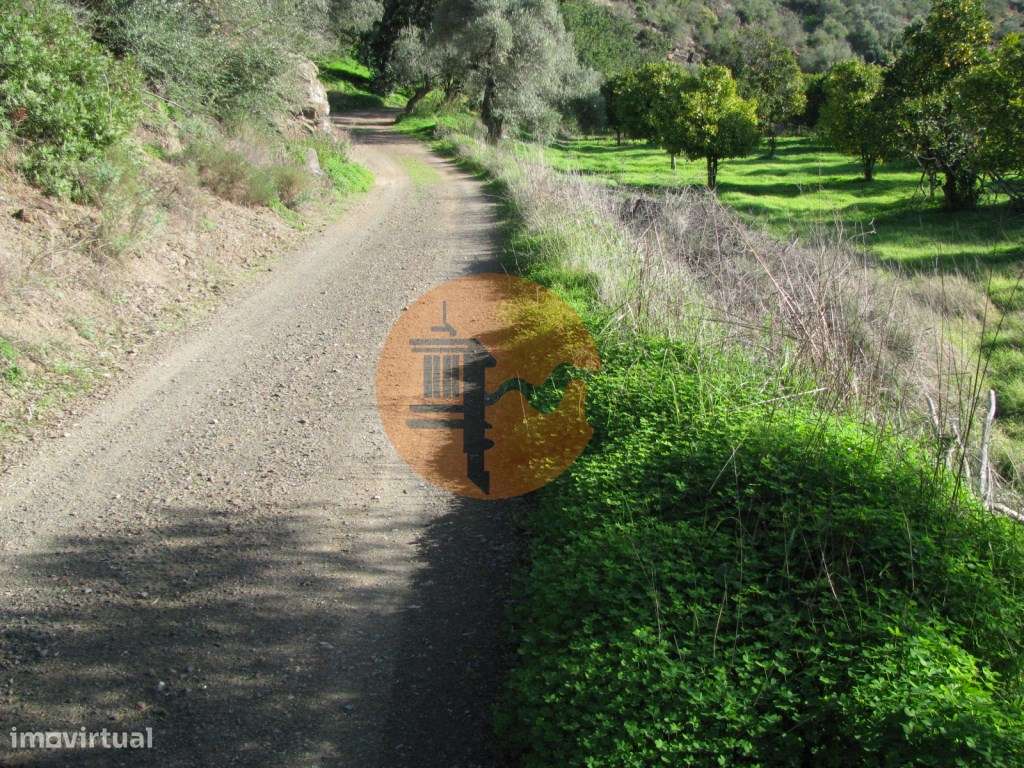 TERRENO RÚSTICO COM 1.180 M2 COM LARANJEIRAS - COM ÁGUA DE REGA - P... - Grande imagem: 5/30