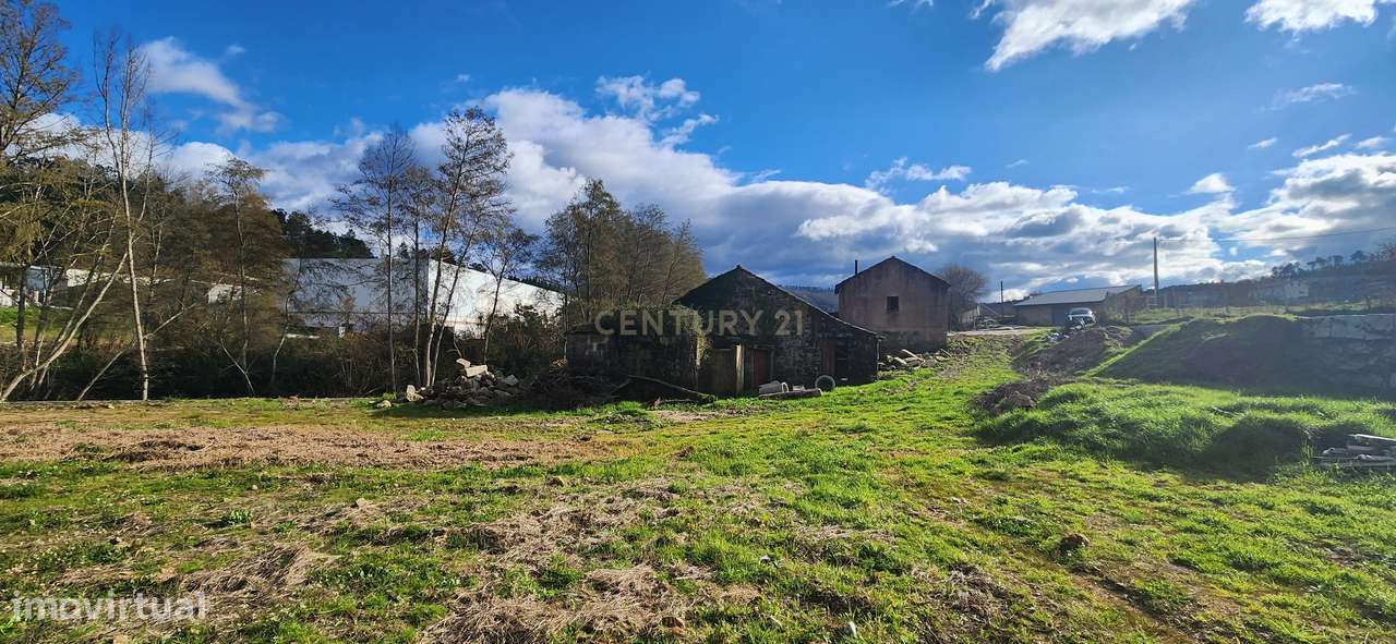 Quintinha à beira rio com projeto habitacional aprovado - Grande imagem: 4/25