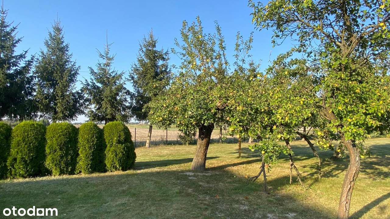 Idealny dom na wygodne życie poza miastem-12