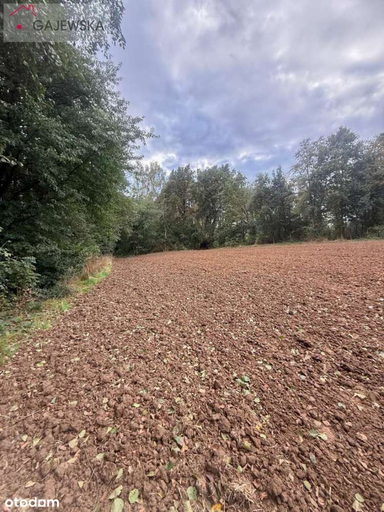 Działka z bezpośrednim dostępem do J.Wapieńskiego - Pełny obrazek: 5/14