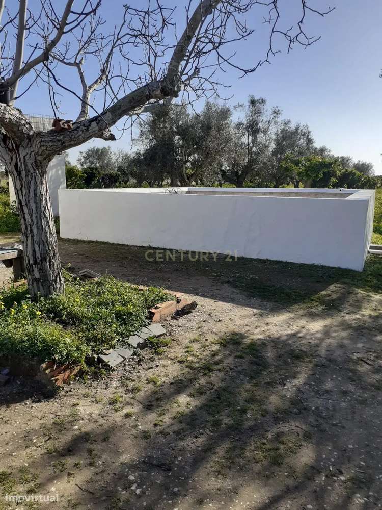 Quinta no Carapetal-35