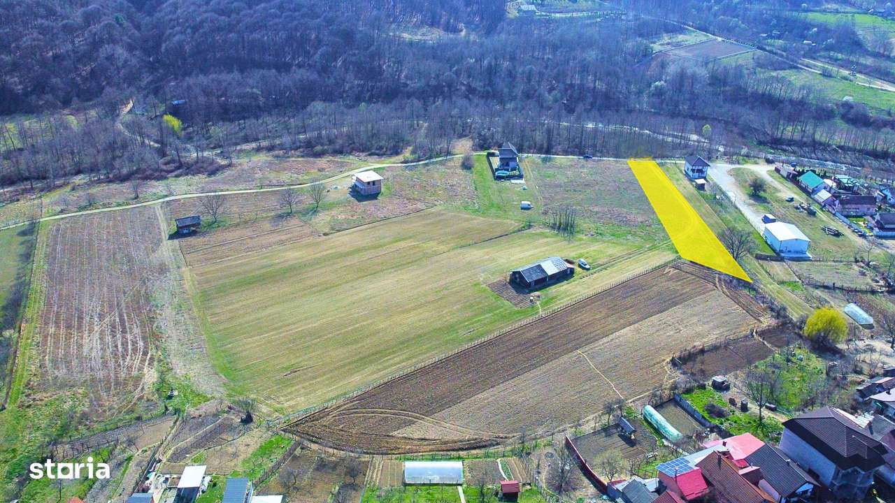 Budesti - Teren 2250 mp-9