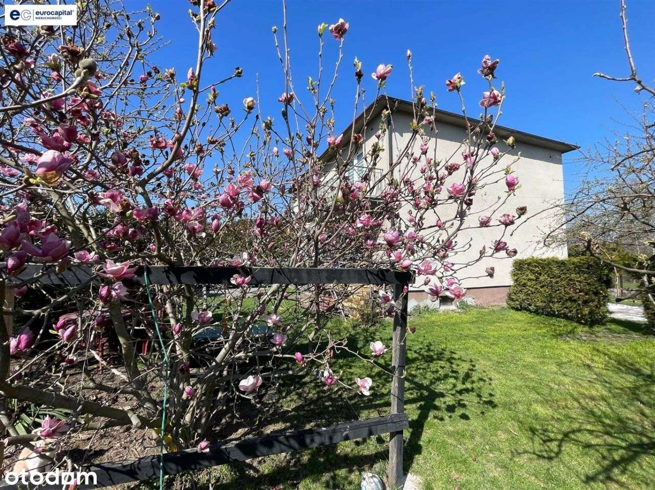 Dom dwurodzinny w Czechowicach-Dziedzicach - Pełny obrazek: 4/20