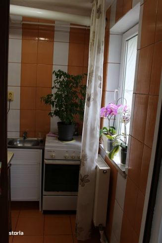 Apartament 2 camere, etaj 1 - str. Minerilor, Targu Jiu-10
