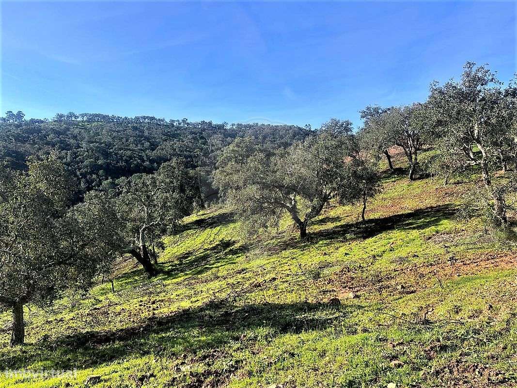 Terreno  para venda - Grande imagem: 4/12