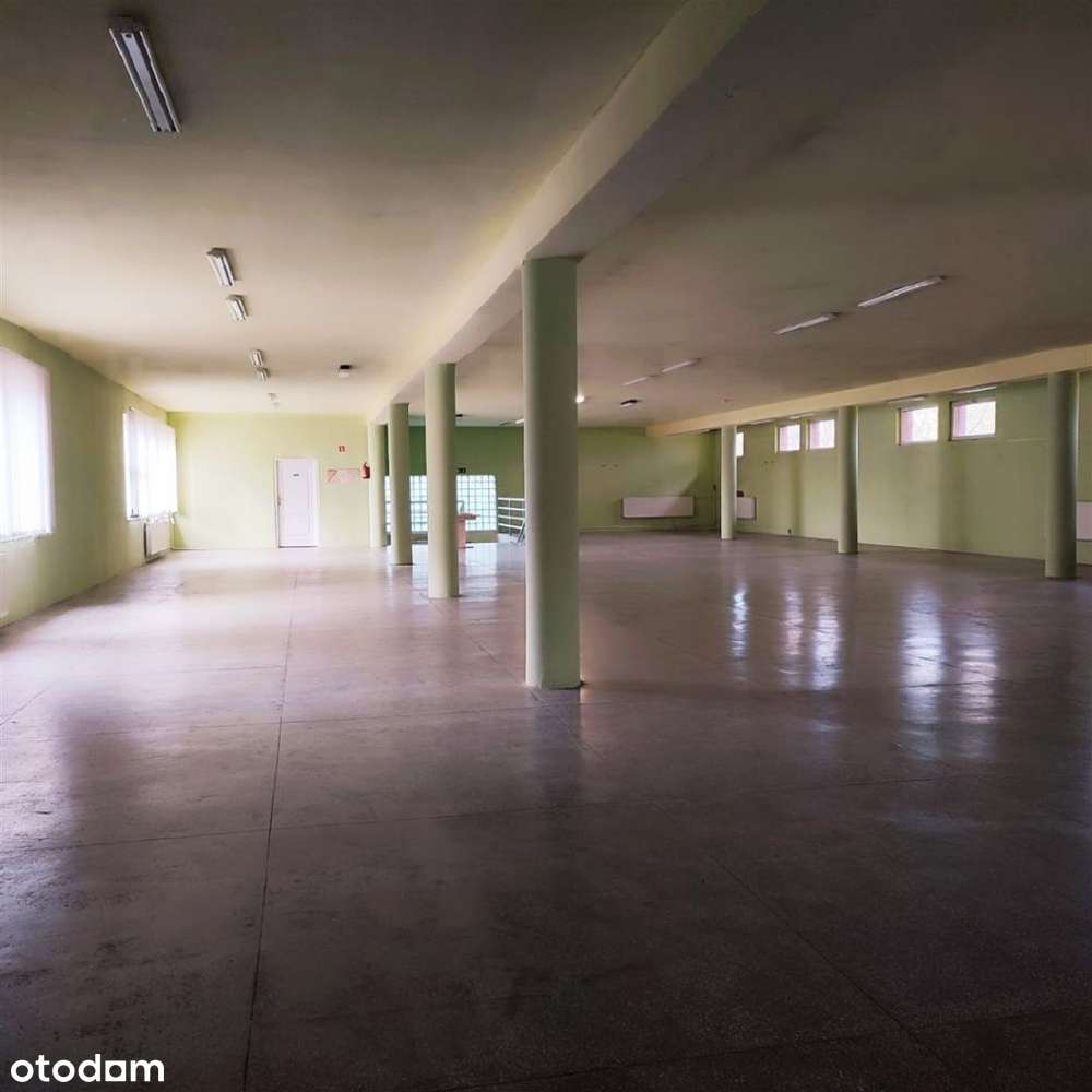 Lokal użytkowy, 600 m², Tychy - Pełny obrazek: 3/14