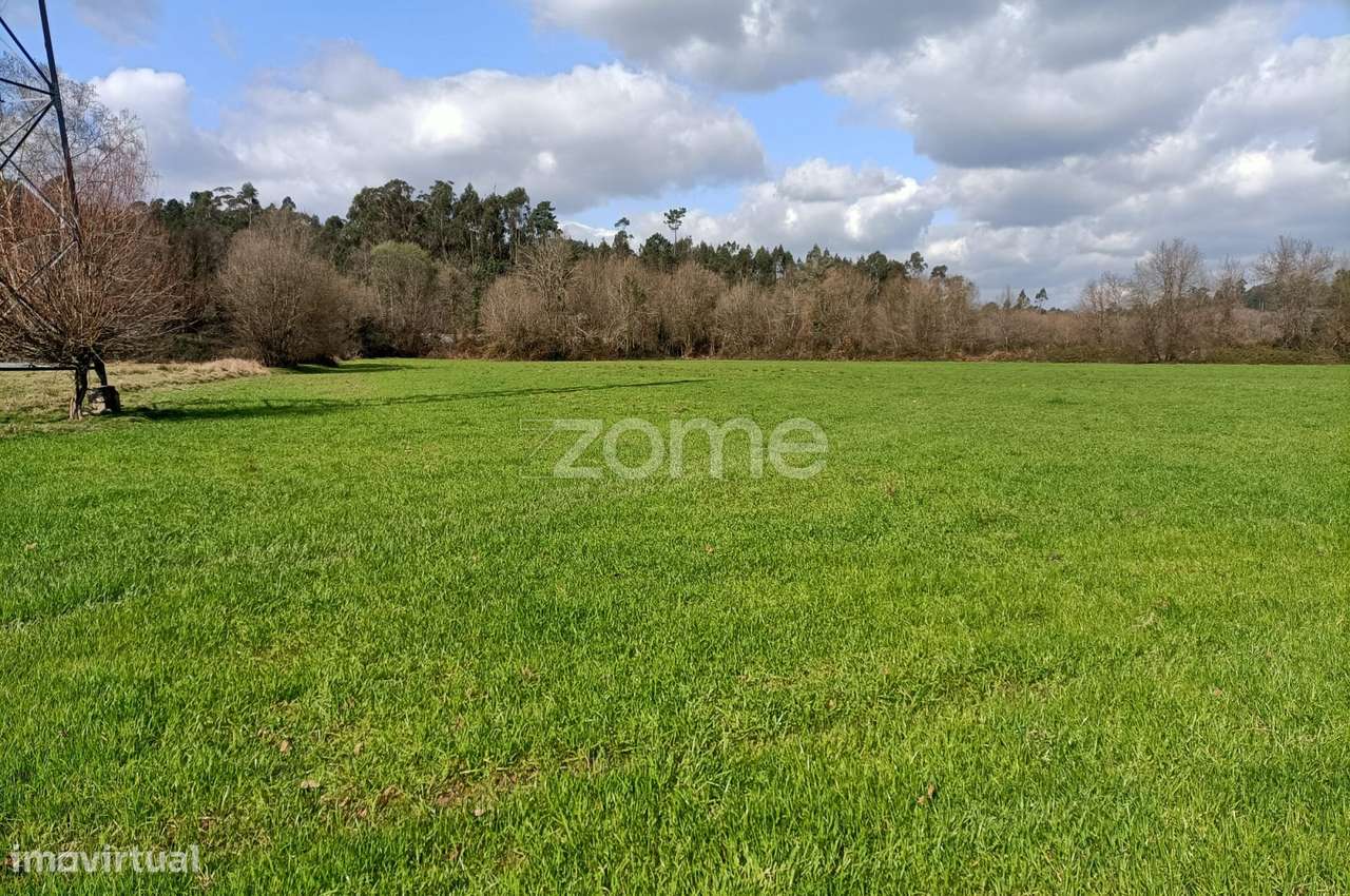 Terreno de 6080 m2, Cervães - Vila Verde - Grande imagem: 4/19