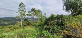 Terreno em Mafra de 8875,00 m2 - Grande imagem: 2/29