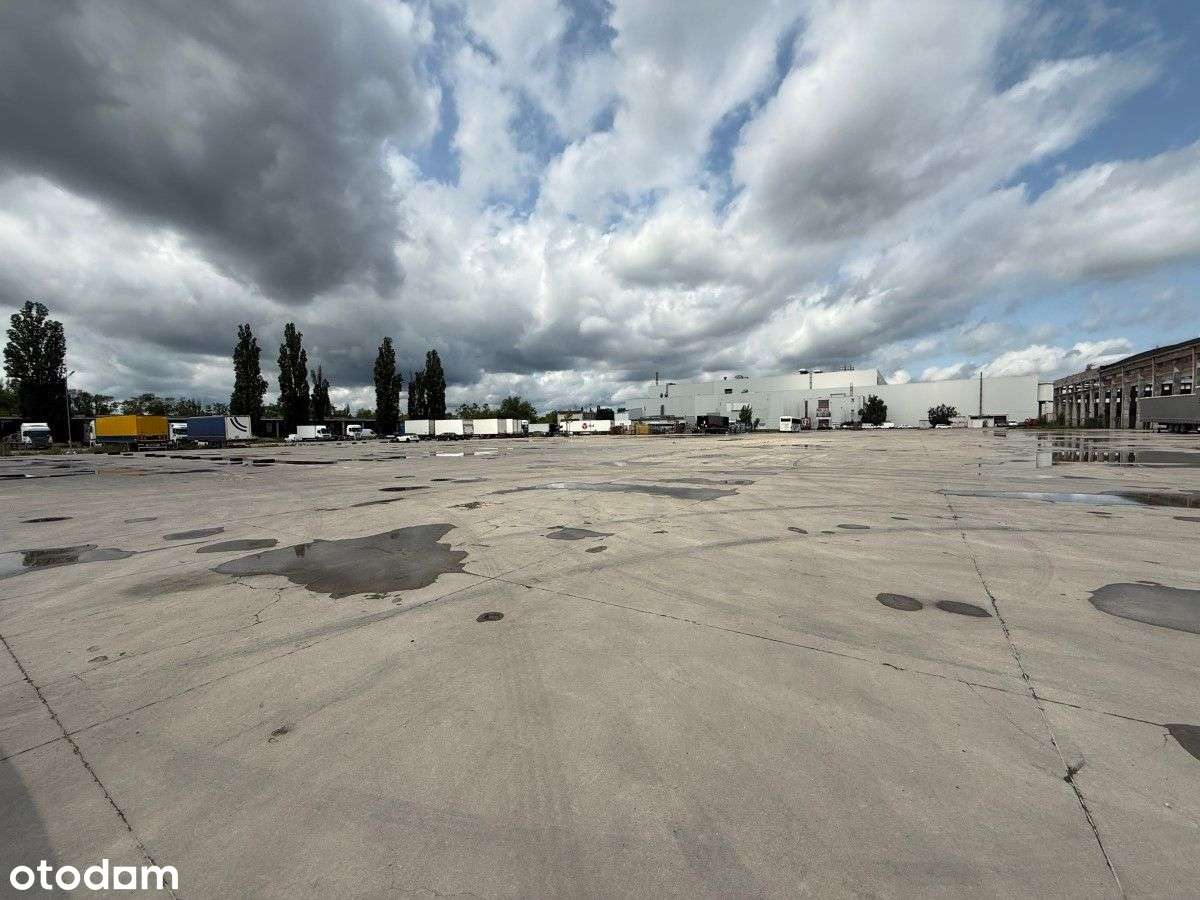 Do wynajęcia działka przemysłowa 1 ha - Pełny obrazek: 5/7