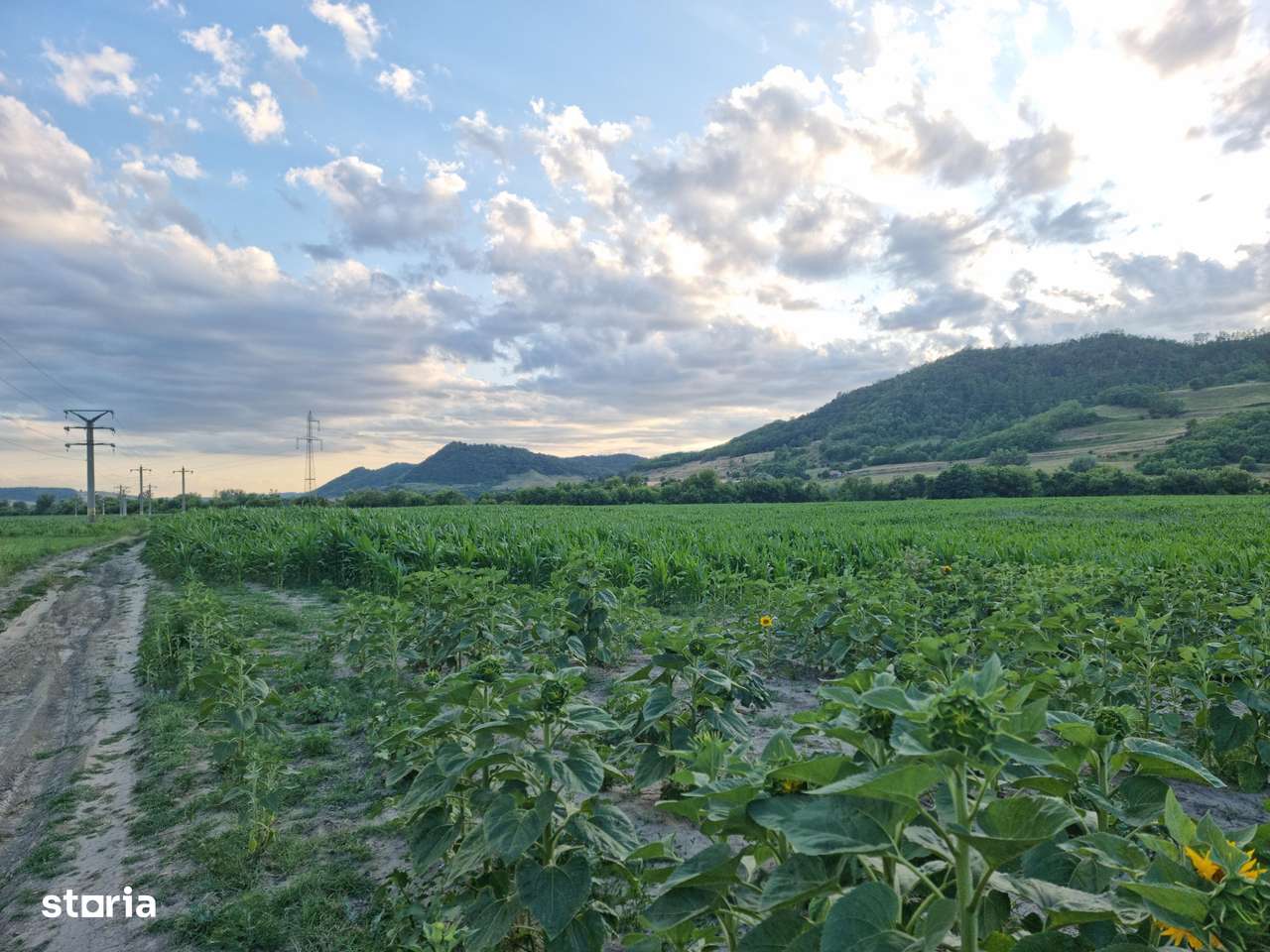 Teren pentru agricultură-5