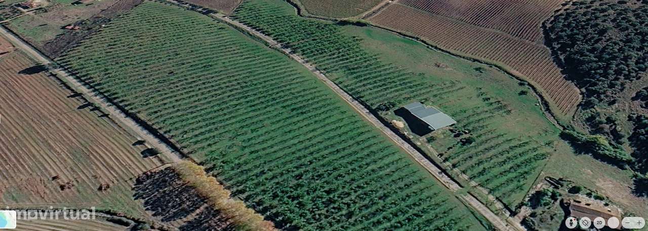 Estremoz | Herdade 5 ha com Projeto Aprovado para Hotel Rural 4 | E...-24