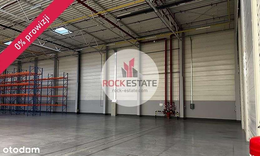 Magazyn na wynajem od zaraz 1350m2 Łódź - 0% prow. - Pełny obrazek: 5/9