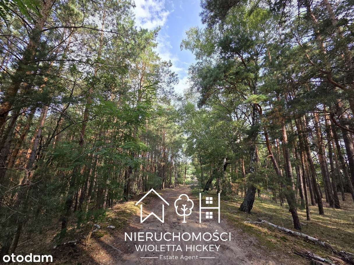 Teren inwestycyjny 5,76 ha – pod zabudowę mieszkaniową 1 ha 2365 m² - Pełny obrazek: 4/18