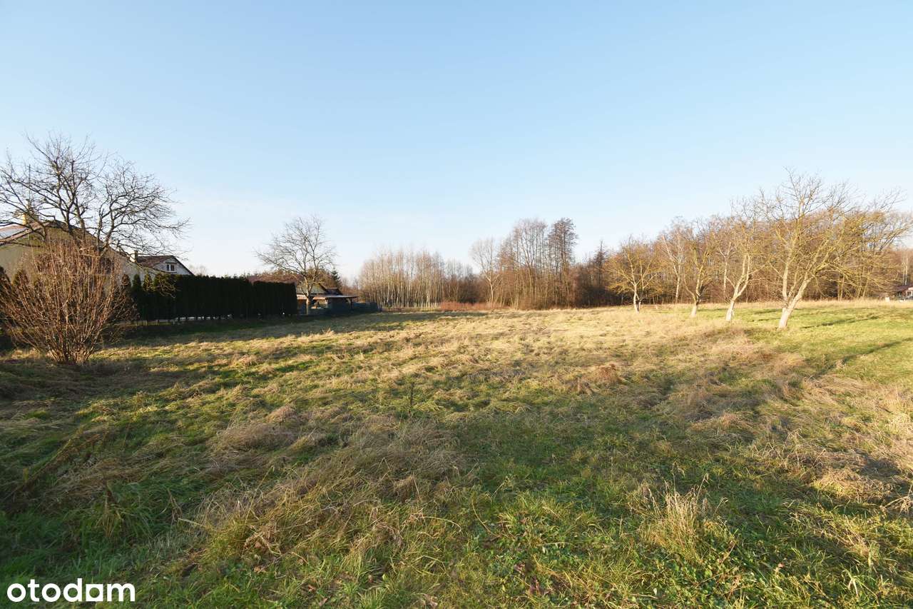 Działka z Warunkami Zabudowy (WZ) przy drodze asfaltowej / ul. Polna-5