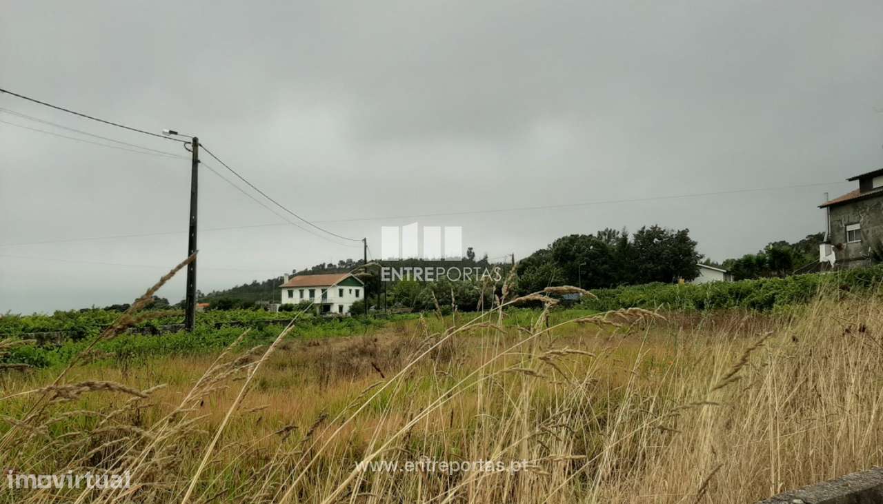 Terreno de construção para venda, Riba Âncora, Caminha - Grande imagem: 5/9