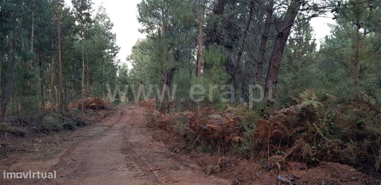 Terreno - Grande imagem: 4/8