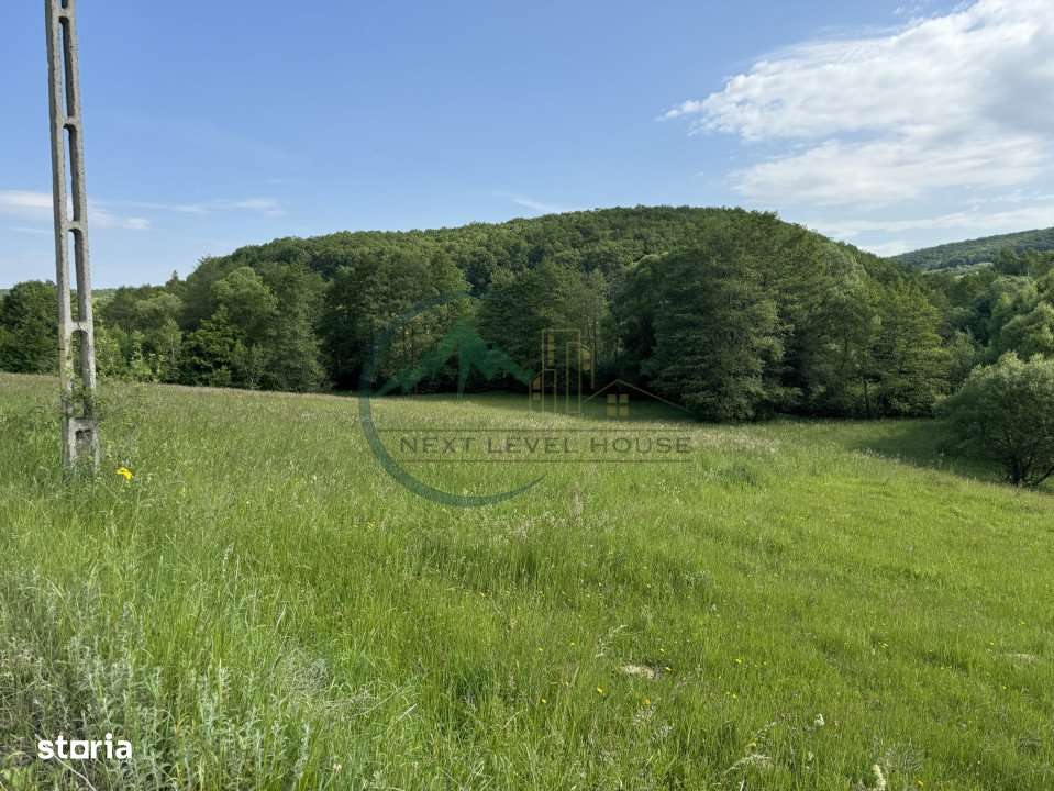 Teren extravilan - oportunitate investitie - Imagine principală: 4/7