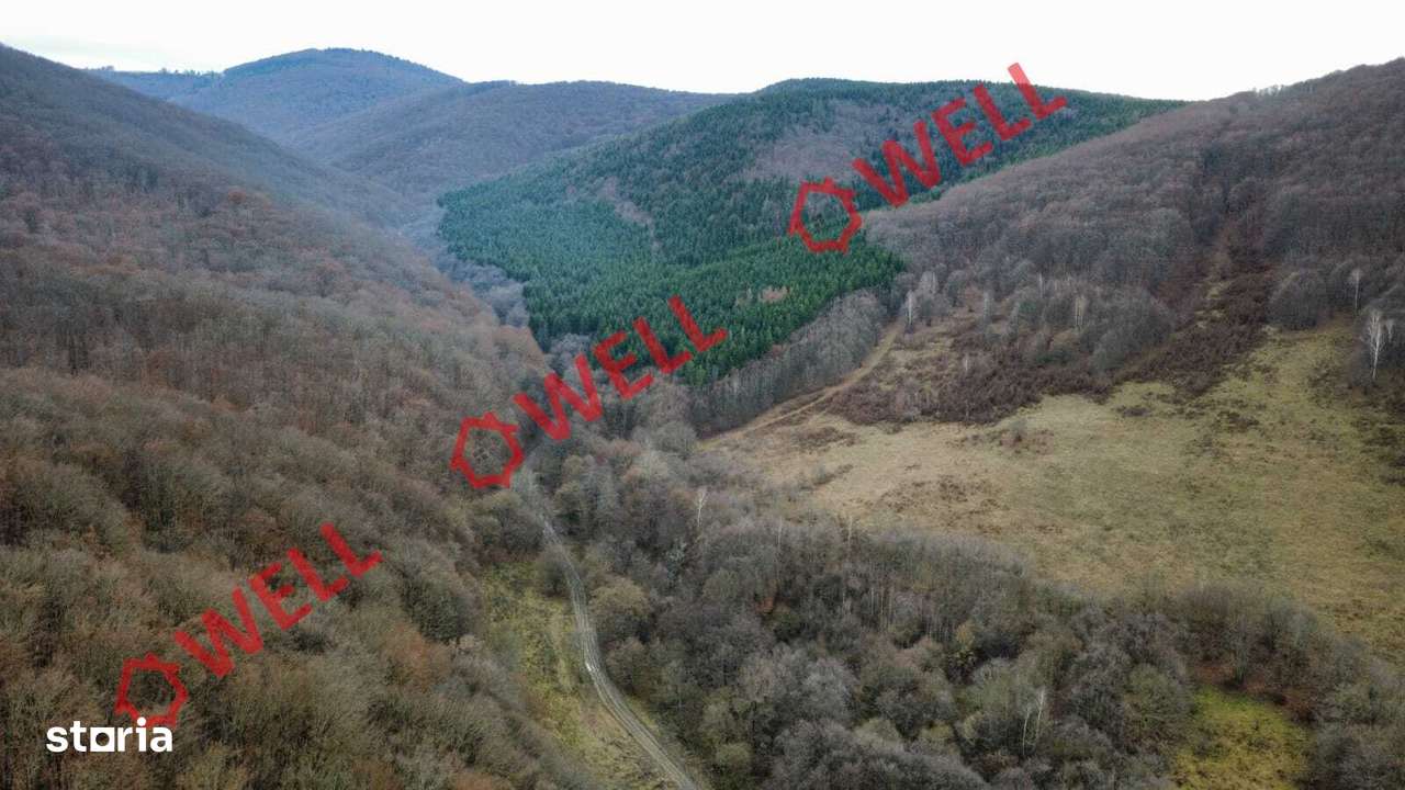 De vânzare teren extravilan în loc.Malnaș - Imagine principală: 5/7