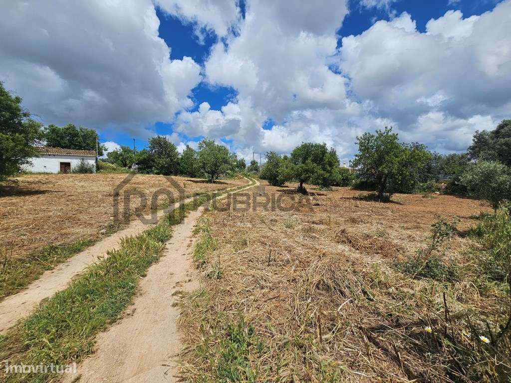 Terreno com casa antiga com 7300m2 a sul de Loulé - Grande imagem: 3/20