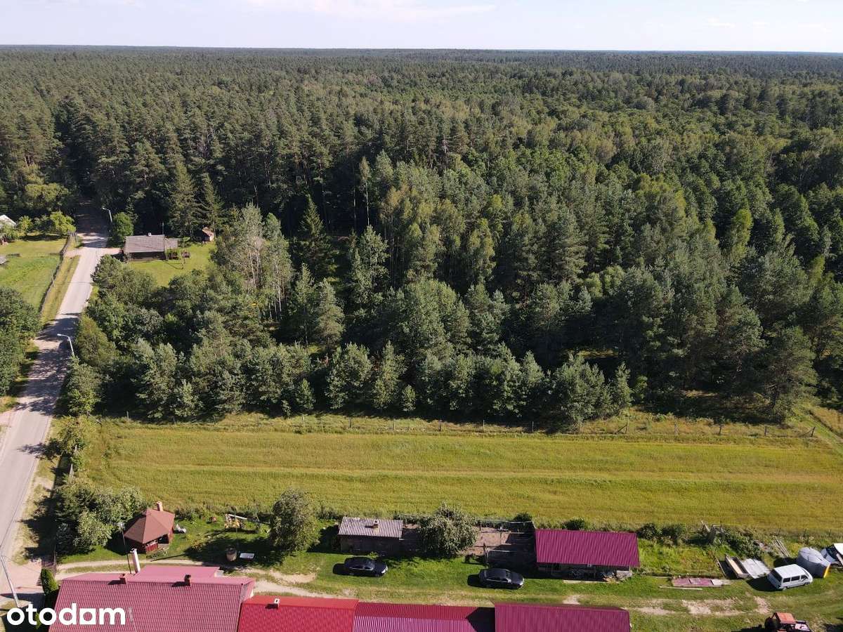 Stare Masiewo - Najlepsza lokata w Puszczy Biał. ! - Pełny obrazek: 4/18