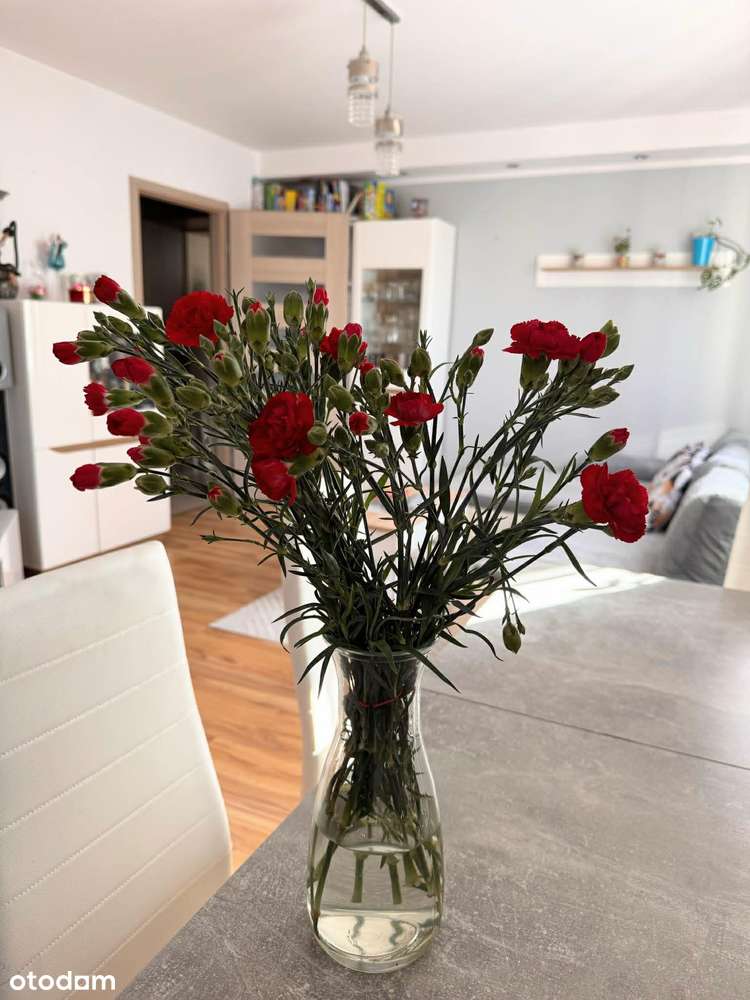 Gotowe do wprowadzenia, Tuwima, 1 piętro, 45m2-0