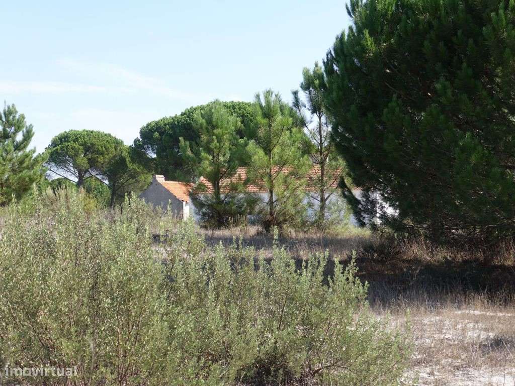 Terreno com 25 hectares em Grândola - Grande imagem: 3/19