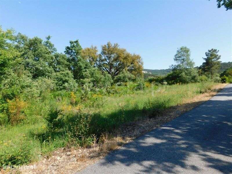 Terreno / Fundão, Donas - Grande imagem: 5/6