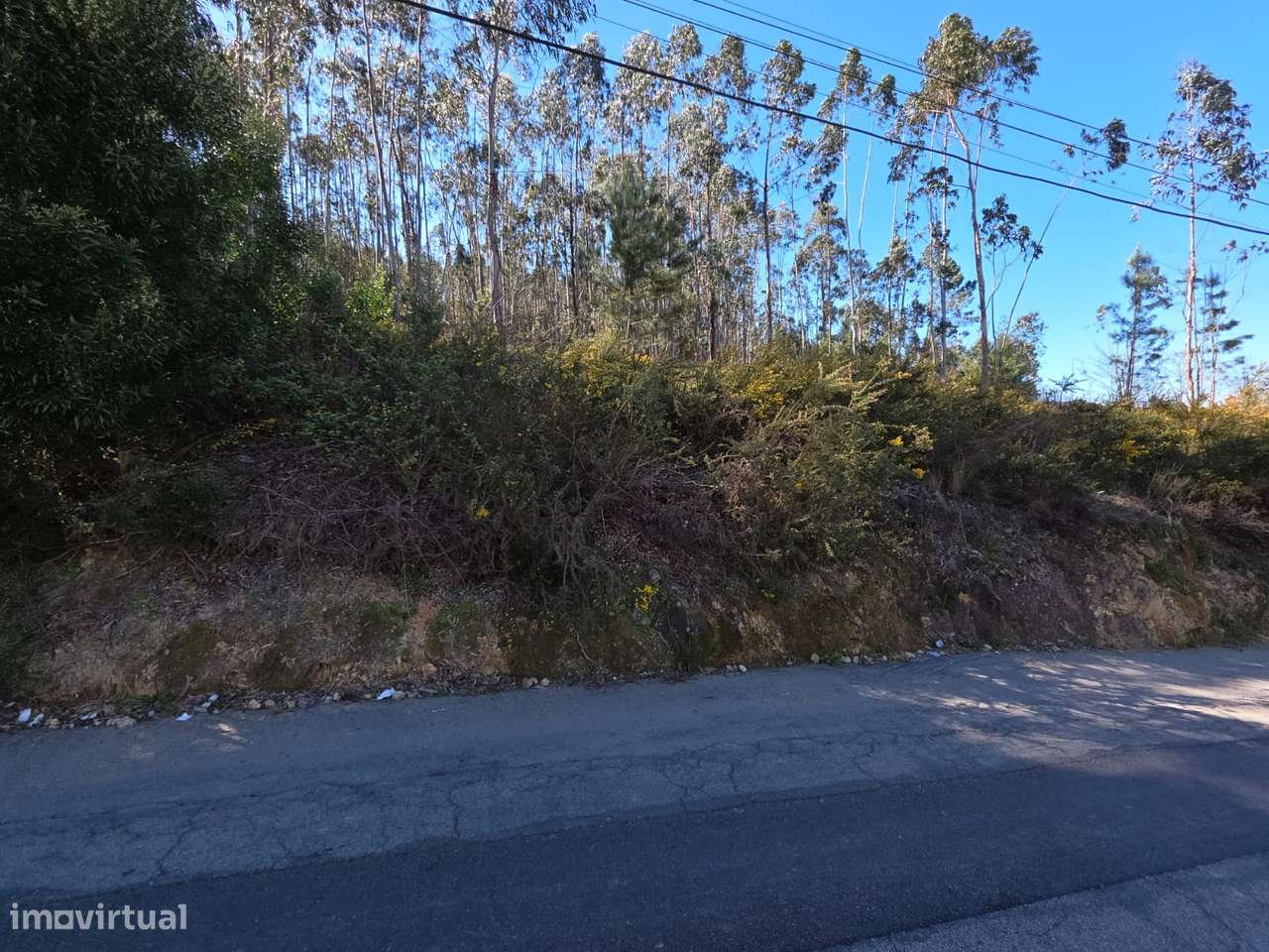 Terreno para construção em Sanguedo-5