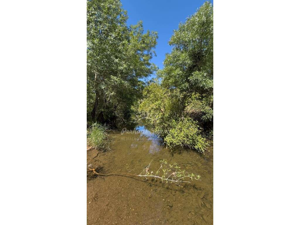 Propriedade Rústica de Montado com Ribeira | 22,6 Hectares | Serra ...-23