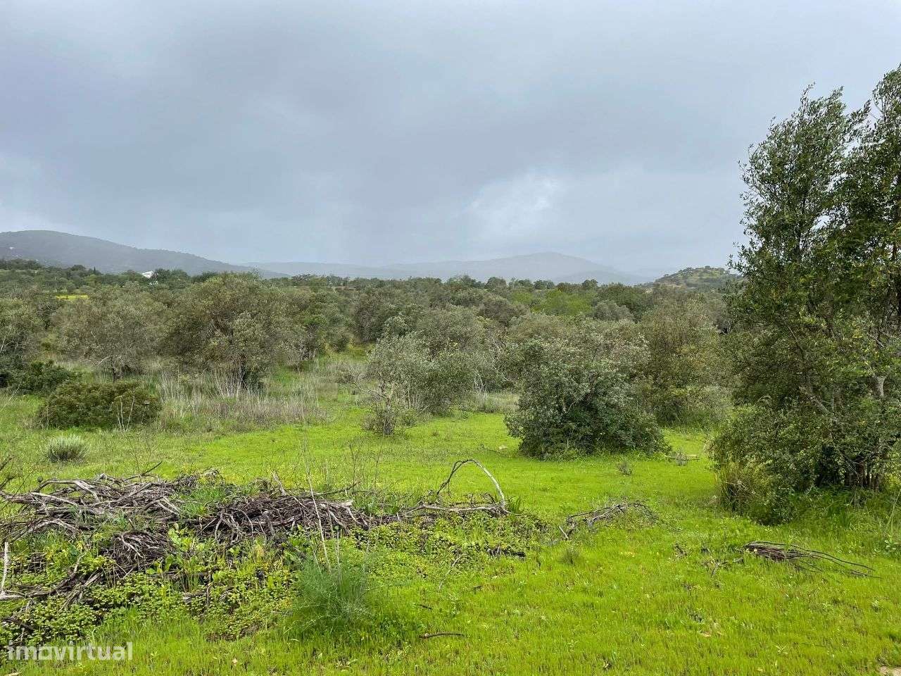 Terreno Rustico em torre Apra- Loule - Grande imagem: 4/13