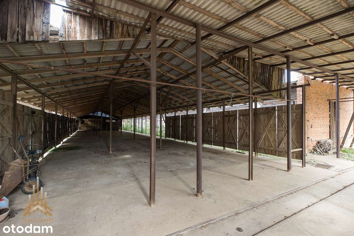 Teren inwestycyjny uzbrojony+budynki - pow. płocki-11