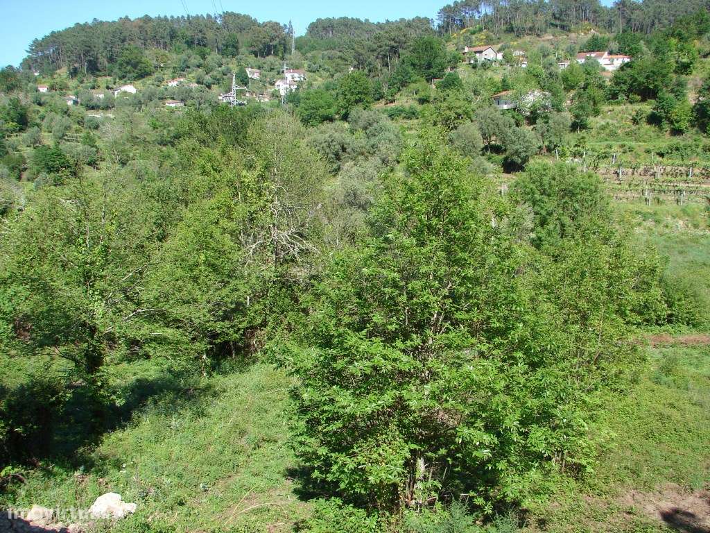 Terreno junto ao Rio em Gandra- Ponte de Lima - Grande imagem: 4/4