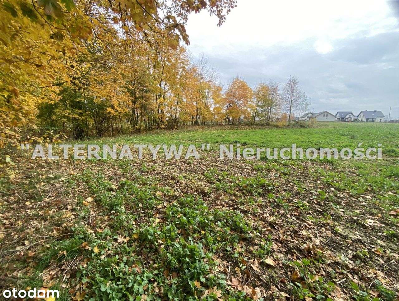 Wyjątkowa działka Mizerów-4