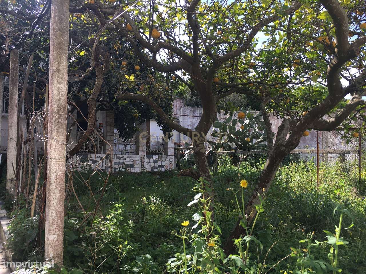 Moradia na Quinta do Reguengo, Santa Clara, Lumiar-10