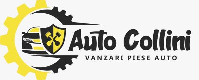 PRO AUTO COLLINI logo